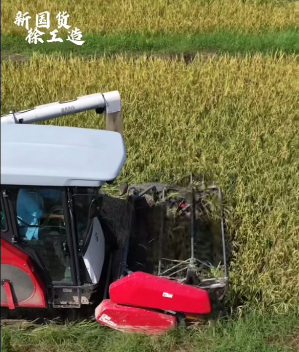 【稻花香里说丰年，听取蛙声一片】