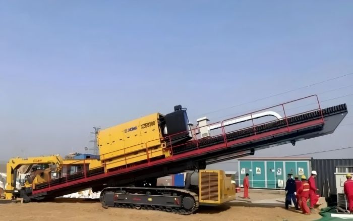 春植但愿，索求304am永利集团“绿色力量”！